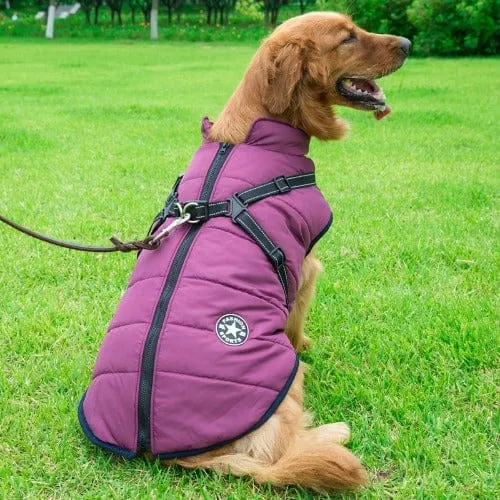 Waterproof Dog Jacket With Harness