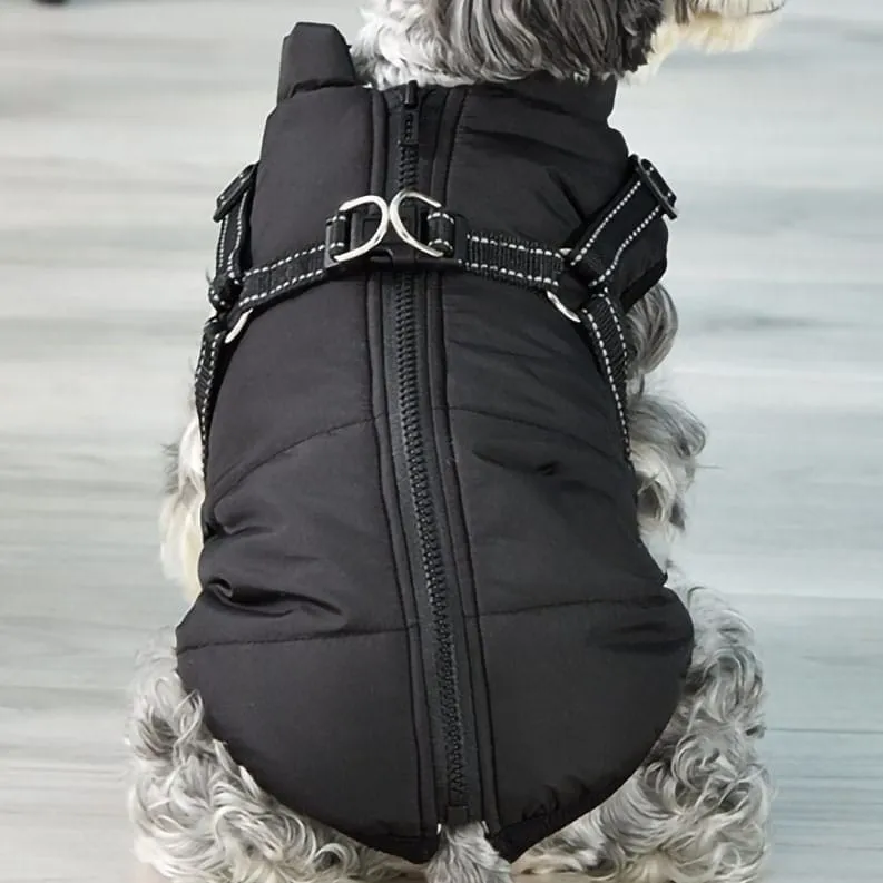 Waterproof Dog Jacket With Harness