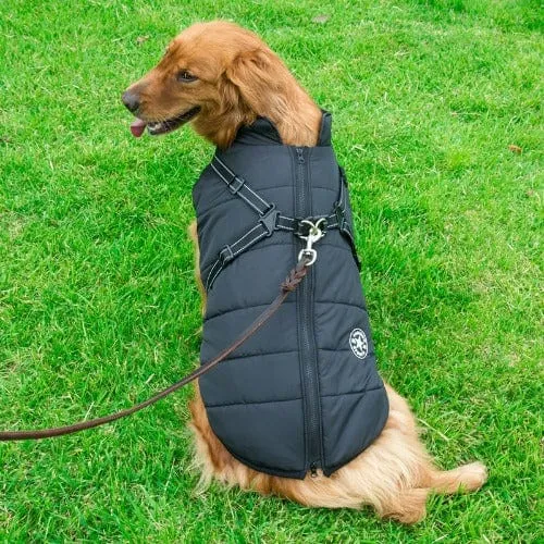 Waterproof Dog Jacket With Harness