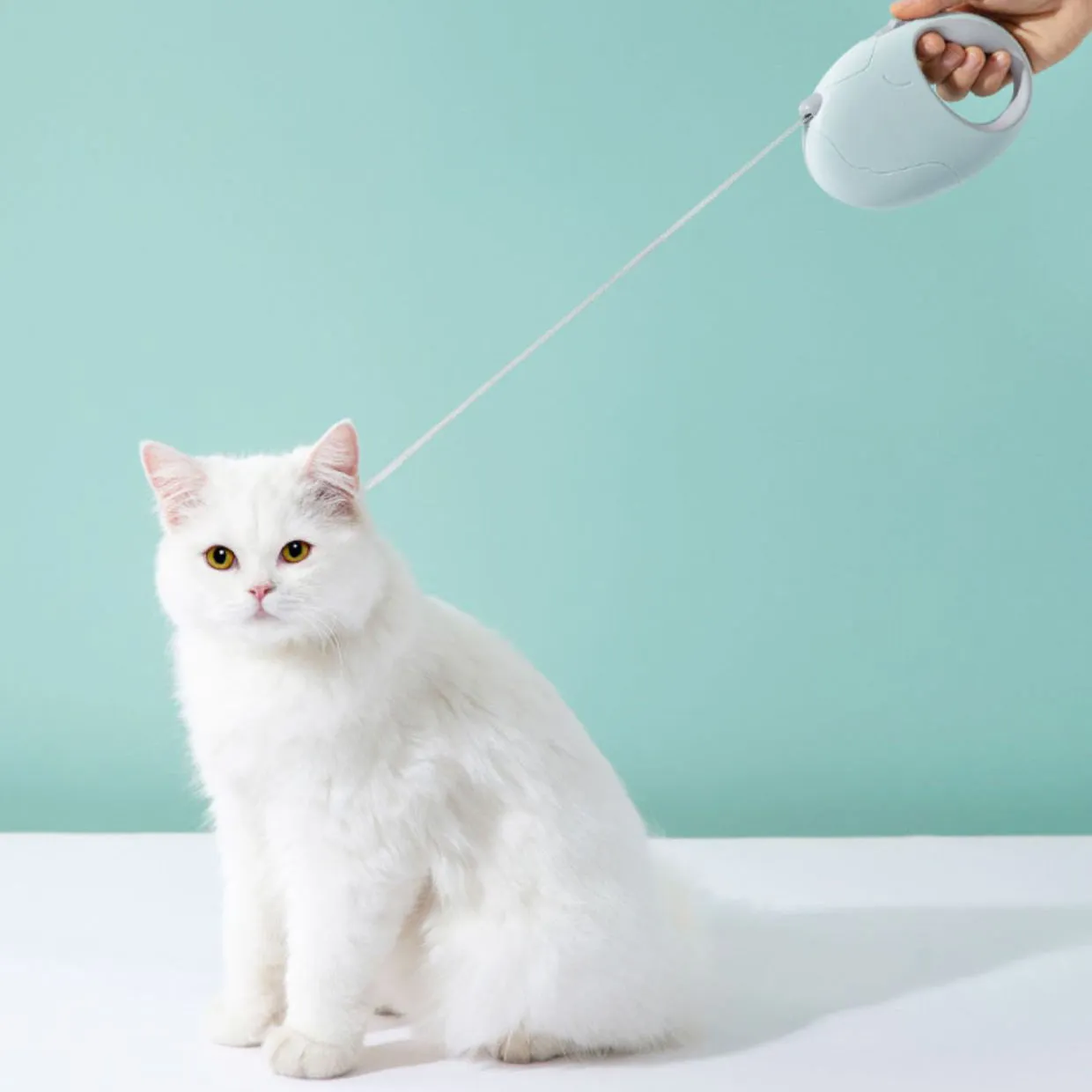 Whisker Shack Anti-Slip Retractable Leash - 3m/5m, Pink/White/Blue