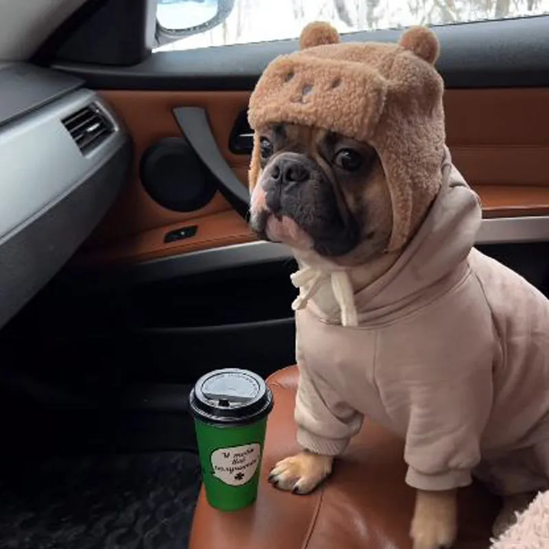 Wool Wonders Frenchie Adorable Winter Hat with Earflaps & Cozy Wool